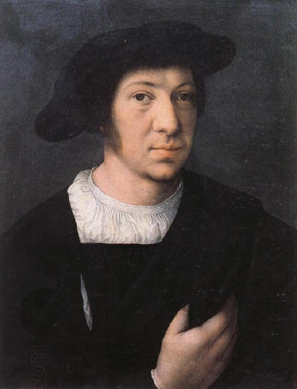 Bernard van orley Portrait of a Man oil painting picture